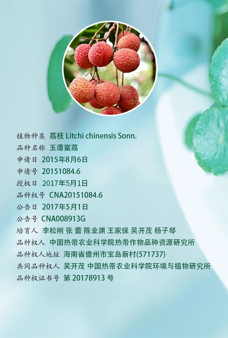 16123159744333853Luz.jpg 2.jpg