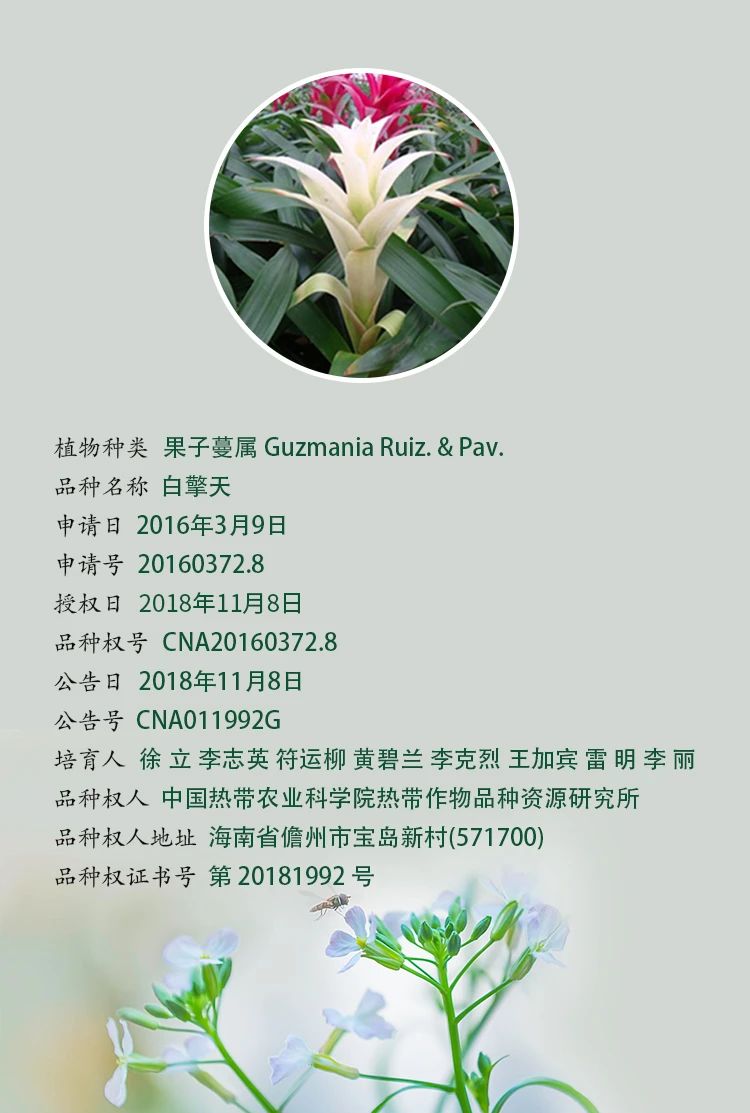 16123159937760900W39.jpg 3.jpg