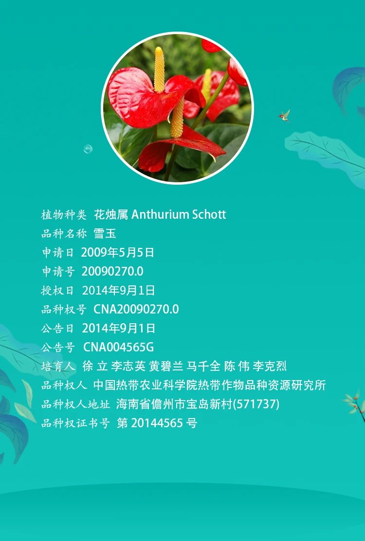 1612316011297677uvwP.jpg 4.jpg