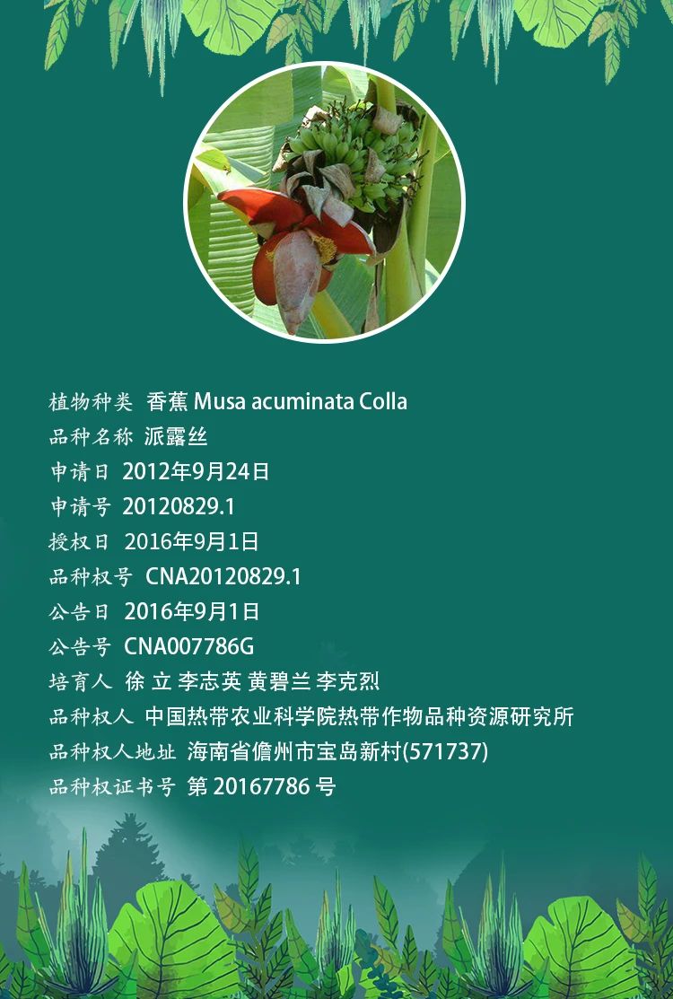 1612316132188859qu1l.jpg 5.jpg