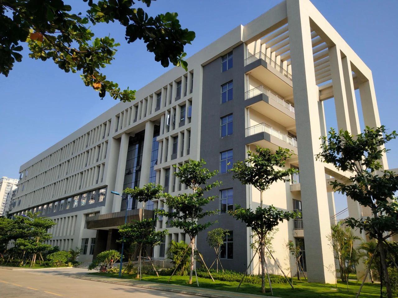 1612316149216553wYEN.jpg 6.jpg