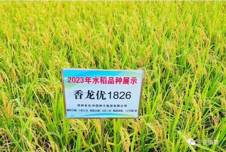 1698807776504141ZhPY.png image.png