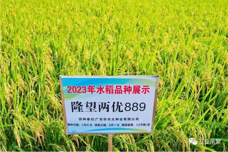 1698807910359456uqFC.png image.png