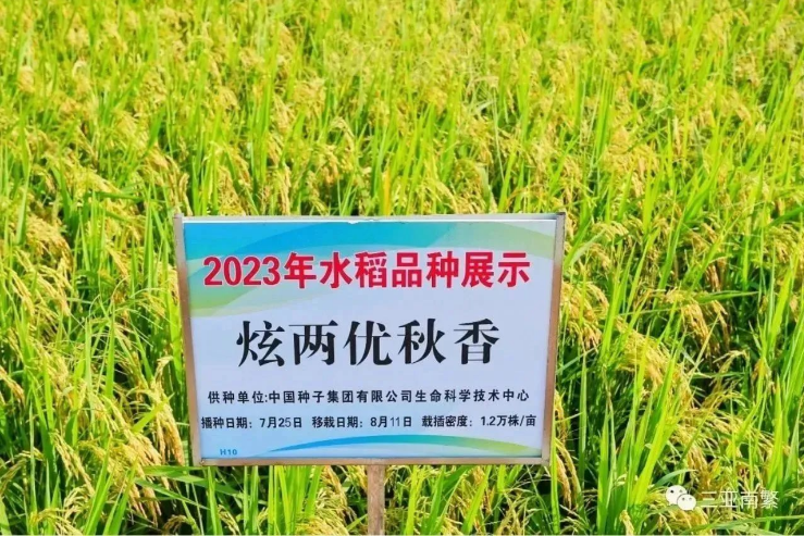 1698807967408247Qk4z.png image.png