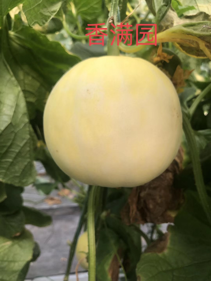 1755652463141892a31r.png 23bcc9fac768cb44c6200125e5663c45.png